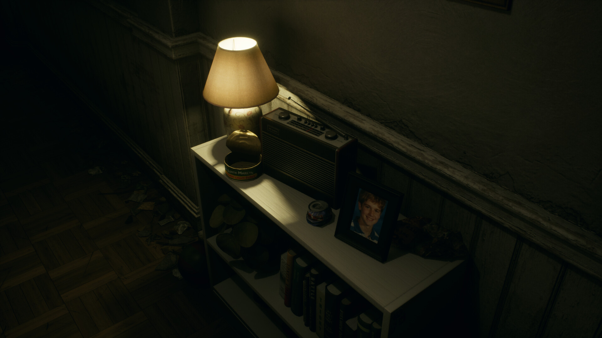 窥维者/CoRoT-微乐源项目网